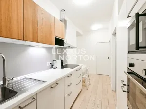 Pronájem bytu 2+kk, Praha - Vinohrady, Lucemburská, 50 m2