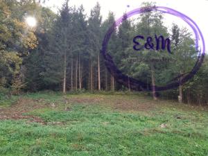 Prodej pozemku pro bydlení, Červená Voda - Moravský Karlov, 1374 m2