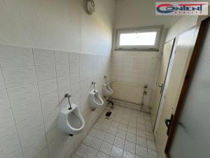 Pronájem skladu, Praha - Satalice, K cihelně, 1200 m2