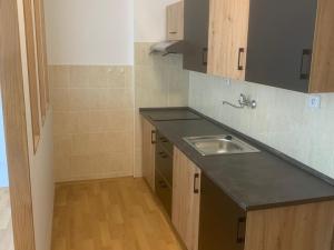 Pronájem bytu 1+kk, Štěnovice, 40 m2