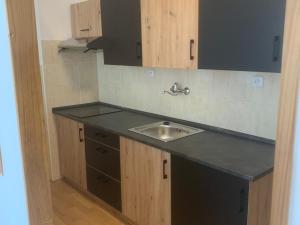 Pronájem bytu 1+kk, Štěnovice, 40 m2