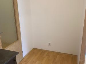 Pronájem bytu 1+kk, Štěnovice, 40 m2