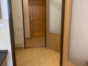 Pronájem bytu 1+kk, Štěnovice, 40 m2
