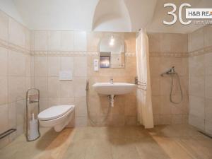 Pronájem bytu 1+kk, Hranice, 24 m2