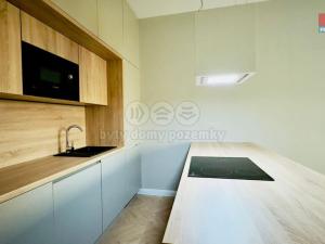 Pronájem bytu 2+kk, Opava - Předměstí, Riegrova, 54 m2