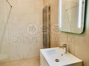 Pronájem bytu 2+kk, Opava - Předměstí, Riegrova, 54 m2