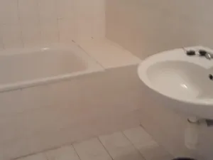 Dražba bytu 3+1, Milovice, Lesní, 113 m2