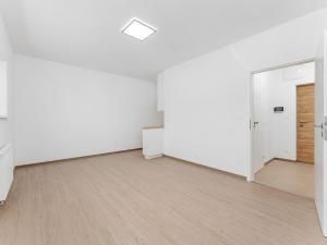 Pronájem bytu 1+kk, Brno - Černovice, Faměrovo náměstí, 29 m2
