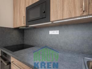 Pronájem bytu 1+kk, Roztoky, Lederova, 34 m2