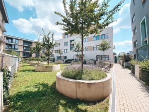 Pronájem bytu 2+kk, Praha - Žižkov, Olgy Havlové, 55 m2