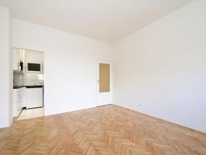 Pronájem bytu 1+kk, Praha - Nusle, Čiklova, 30 m2