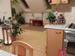 Pronájem bytu 2+kk, Bílovice nad Svitavou, Lesní, 50 m2