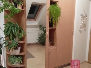 Pronájem bytu 2+kk, Bílovice nad Svitavou, Lesní, 50 m2