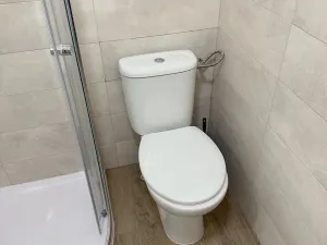 Pronájem bytu 2+kk, Praha - Břevnov, Bělohorská, 60 m2