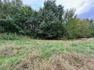 Prodej louky, Karviná, Za Vsí, 3072 m2