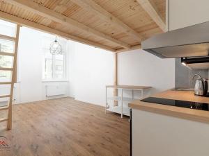 Pronájem bytu 1+kk, Ostrava, Palackého, 29 m2