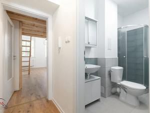 Pronájem bytu 1+kk, Ostrava, Palackého, 29 m2