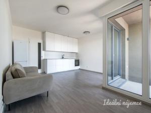 Pronájem bytu 1+kk, Praha - Žižkov, Olgy Havlové, 38 m2