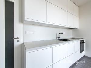 Pronájem bytu 1+kk, Praha - Žižkov, Olgy Havlové, 38 m2