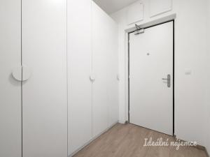 Pronájem bytu 1+kk, Praha - Žižkov, Olgy Havlové, 38 m2