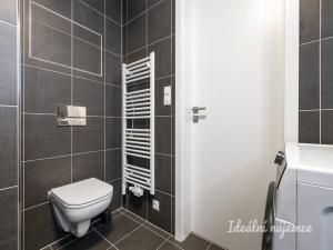 Pronájem bytu 1+kk, Praha - Žižkov, Olgy Havlové, 38 m2