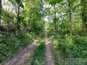 Prodej pole, Sosnová, 19783 m2