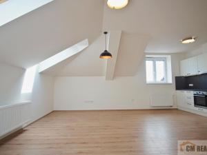 Pronájem bytu 1+kk, Olomouc - Hodolany, Holická, 53 m2