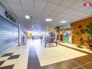 Pronájem obchodního prostoru, Třemošná, Plzeňská, 187 m2