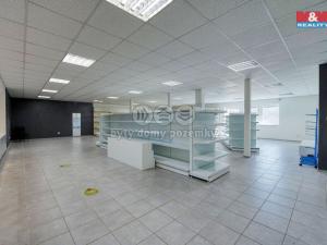 Pronájem obchodního prostoru, Třemošná, Plzeňská, 187 m2
