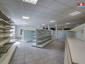 Pronájem obchodního prostoru, Třemošná, Plzeňská, 187 m2