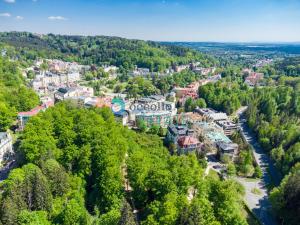 Prodej bytu 3+kk, Mariánské Lázně, Třebízského, 117 m2