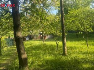 Prodej zahrady, Přerov, 767 m2