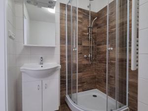 Pronájem bytu 1+kk, Pardubice - Polabiny, Lidická, 36 m2