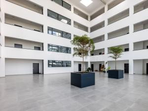 Pronájem bytu 2+kk, Plzeň, Františka Kováříka, 65 m2