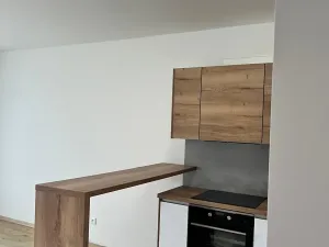 Pronájem bytu 1+kk, České Budějovice, Chelčického, 47 m2