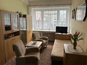 Prodej bytu 1+kk, Brno, Cihlářská, 30 m2