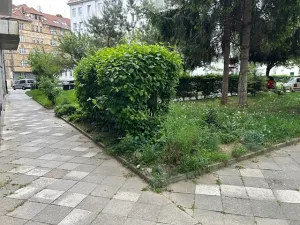 Prodej bytu 1+kk, Brno, Cihlářská, 30 m2