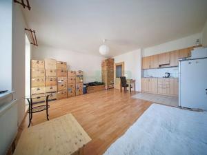 Pronájem bytu 1+kk, Praha - Horní Měcholupy, Padovská, 41 m2
