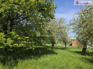 Prodej rodinného domu, Staré Smrkovice, 250 m2