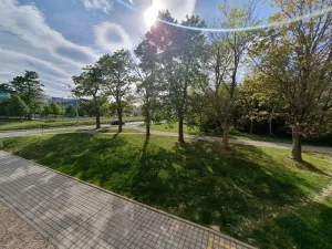 Pronájem bytu 1+kk, Jihlava, Vrchlického, 36 m2