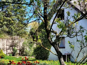 Prodej rodinného domu, Křinec - Sovenice, 150 m2