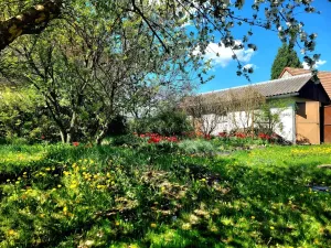 Prodej rodinného domu, Křinec - Sovenice, 150 m2