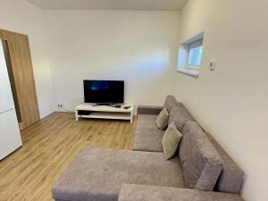 Pronájem bytu 1+kk, Opava, Ovocná, 29 m2
