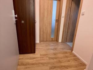 Pronájem bytu 1+kk, Opava, Ovocná, 29 m2