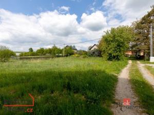 Prodej rodinného domu, Větřkovice, 228 m2