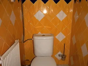 Prodej vícegeneračního domu, Opatov, 360 m2