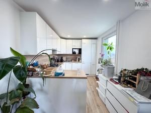Pronájem bytu 3+kk, Praha - Vysočany, Odlehlá, 64 m2