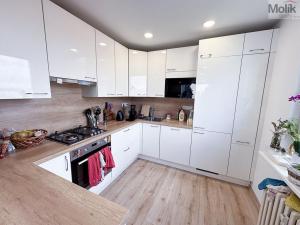 Pronájem bytu 3+kk, Praha - Vysočany, Odlehlá, 64 m2
