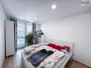 Pronájem bytu 3+kk, Praha - Vysočany, Odlehlá, 64 m2