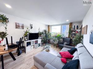 Pronájem bytu 3+kk, Praha - Vysočany, Odlehlá, 64 m2